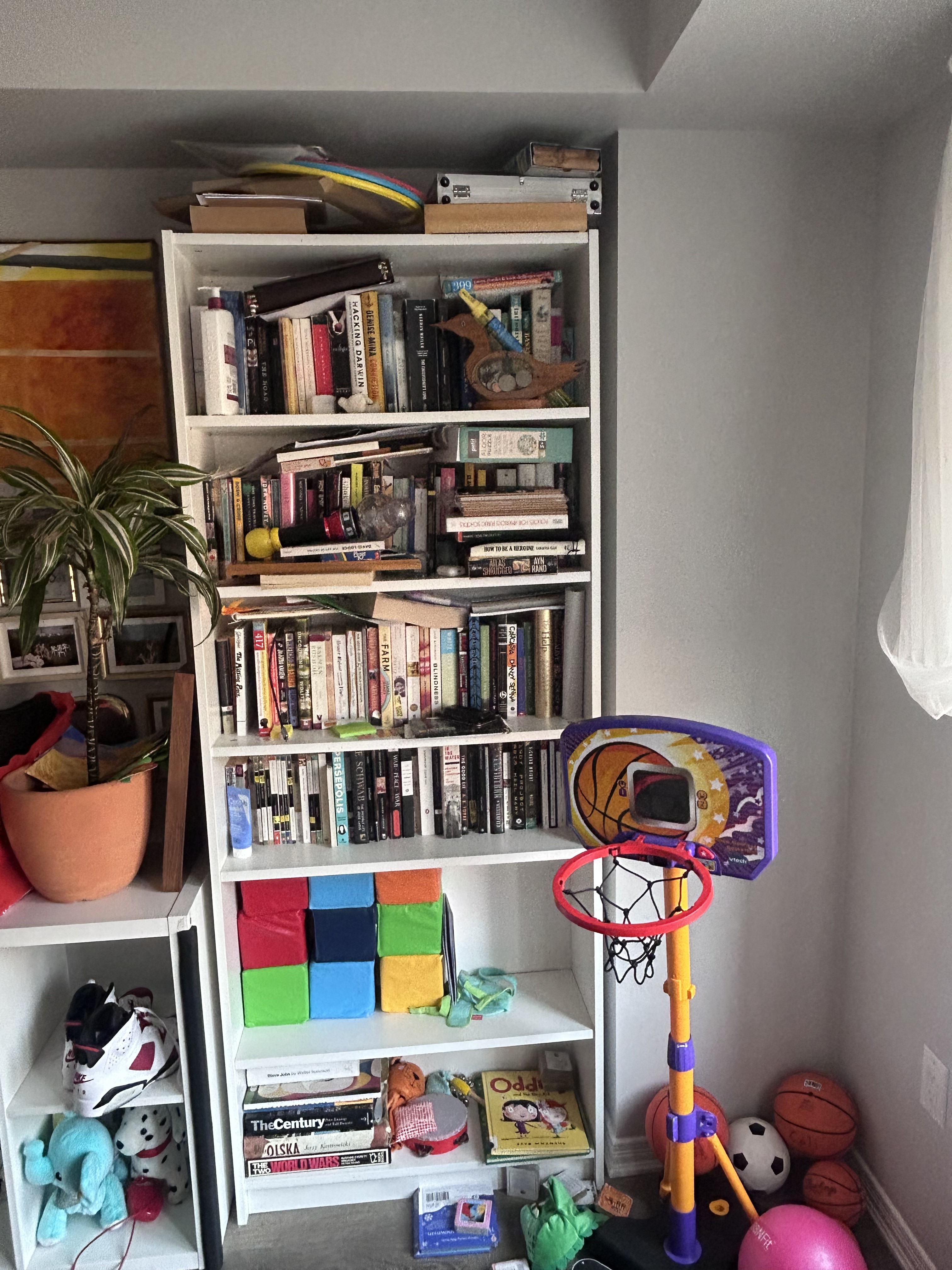 Project 02: Bookshelf Reboot photo 2